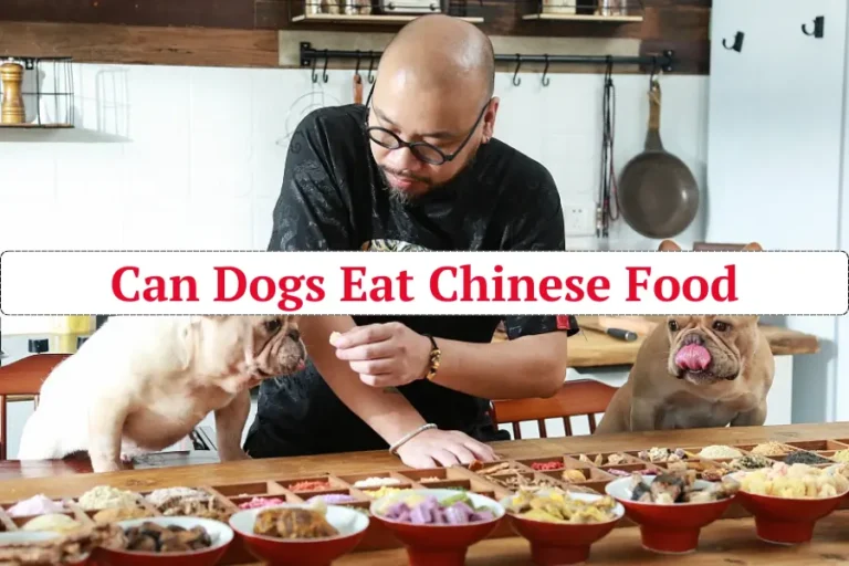 Can Dogs Eat Chinese Food