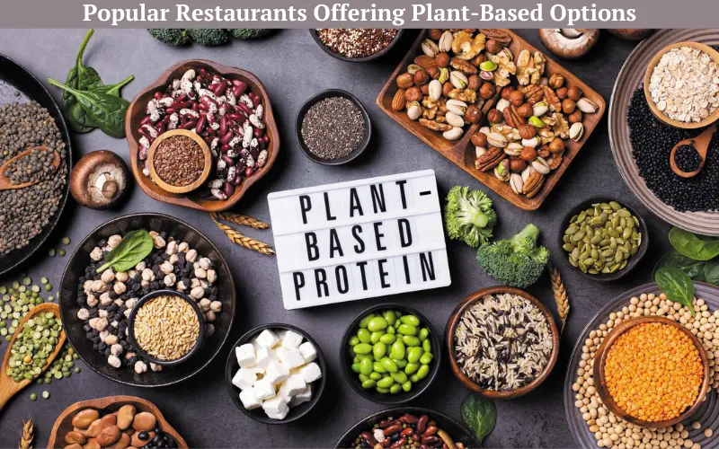 Popular Restaurants Offering Plant-Based Options