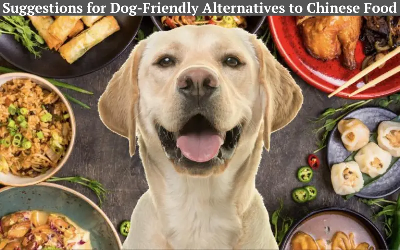 Suggestions for Dog-Friendly Alternatives to Chinese Food