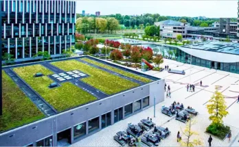 ISS Scholarship Fund for Excellent Students 2026 | Erasmus University Rotterdam