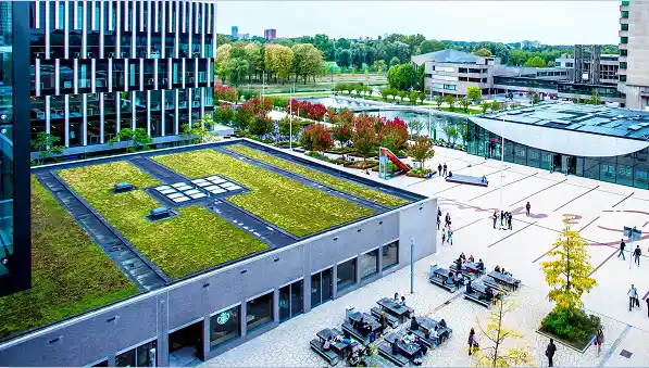 ISS Scholarship Fund for Excellent Students 2026 | Erasmus University Rotterdam